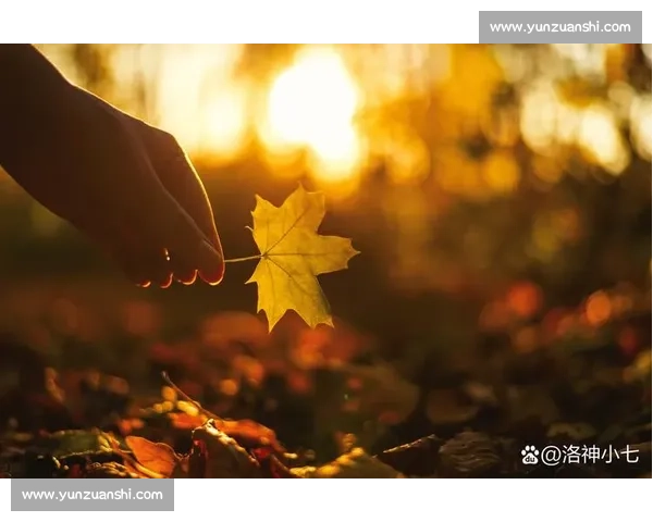 捕捉生活中最美的瞬间展现,感受每一刻的精彩与无限可能 捕捉生活中最美的瞬间展现,感受每一刻的精彩与无限可能